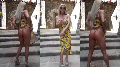 Cover for 'Public Flashing'